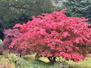 Photo 28- click for photo gallery